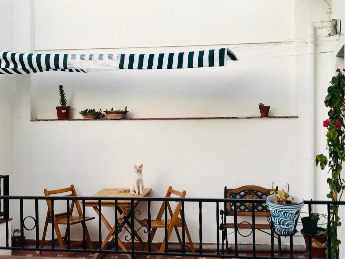 La Morada Sur Apartment Granada Bagian luar foto